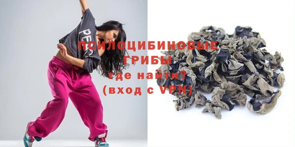 СК Аркадак