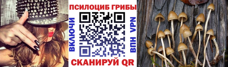 Галлюциногенные грибы Magic Shrooms  наркотики  Уяр 